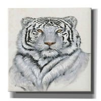 Epic Graffiti 'White Tiger I' от Tim O'Toole, Canvas Wall Art, 18 x26