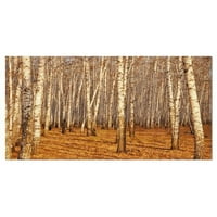 Дизайнерско изкуство „Плътна брезова гора през есента“ Фотографски печат върху опаковани платно